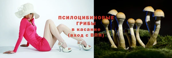 прущий лед Карпинск