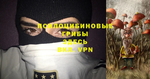 прущий лед Карпинск