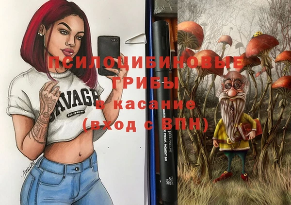 прущий лед Карпинск