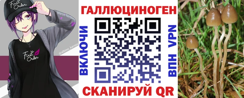 Купить где  Санкт-Петербург  Псилоцибиновые грибы MAGIC MUSHROOMS 