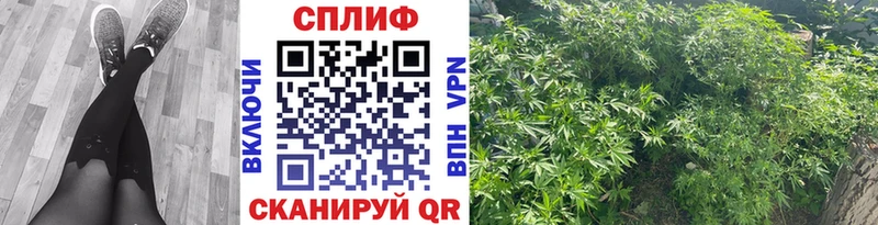 Канабис LSD WEED Санкт-Петербург