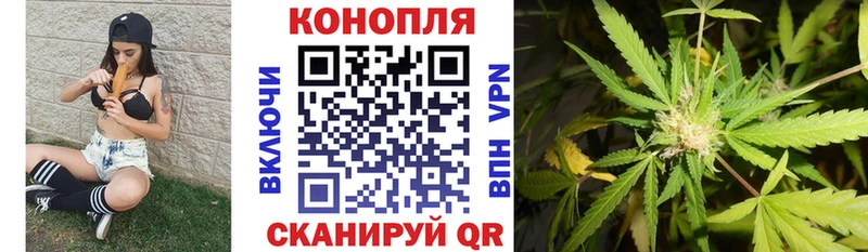 Купить где  Санкт-Петербург  Каннабис конопля 